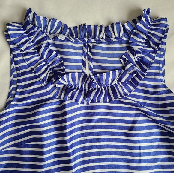 Talbots Blue and White Striped Sleeveless Blouse - Picture 3 of 6